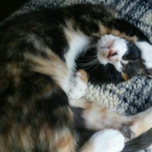 Meet your Posher, Brenda